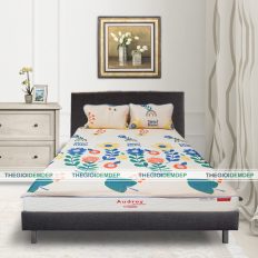 Chiếu Điều Hòa LATEX C24