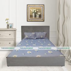 Chiếu Điều Hòa LATEX C26